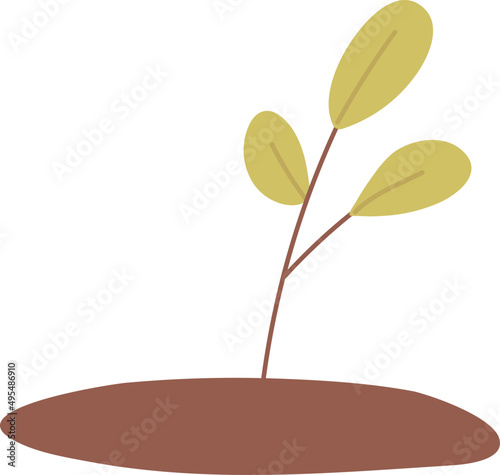 Seedling Colored Illustration