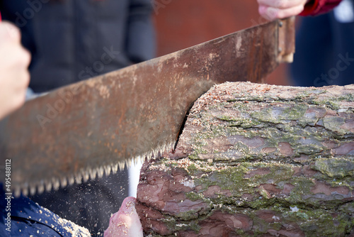 sawing logs with a hand saw close-up