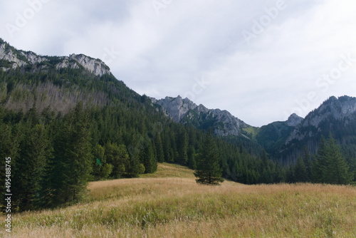 Tatry Dolina Kościeliska © Klaudia