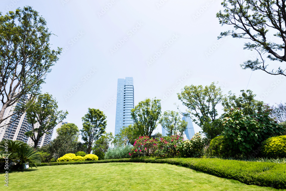 Green park next to business center buildings Green park next to business center buildings