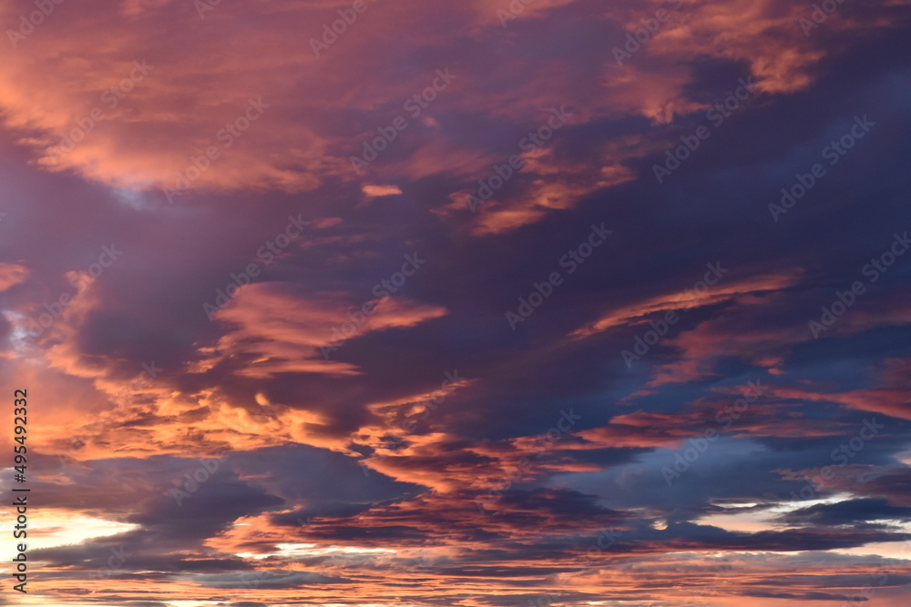 Sunlit pink clouds, Sunset sky with pink clouds, spectacular sunset with colorful clouds
