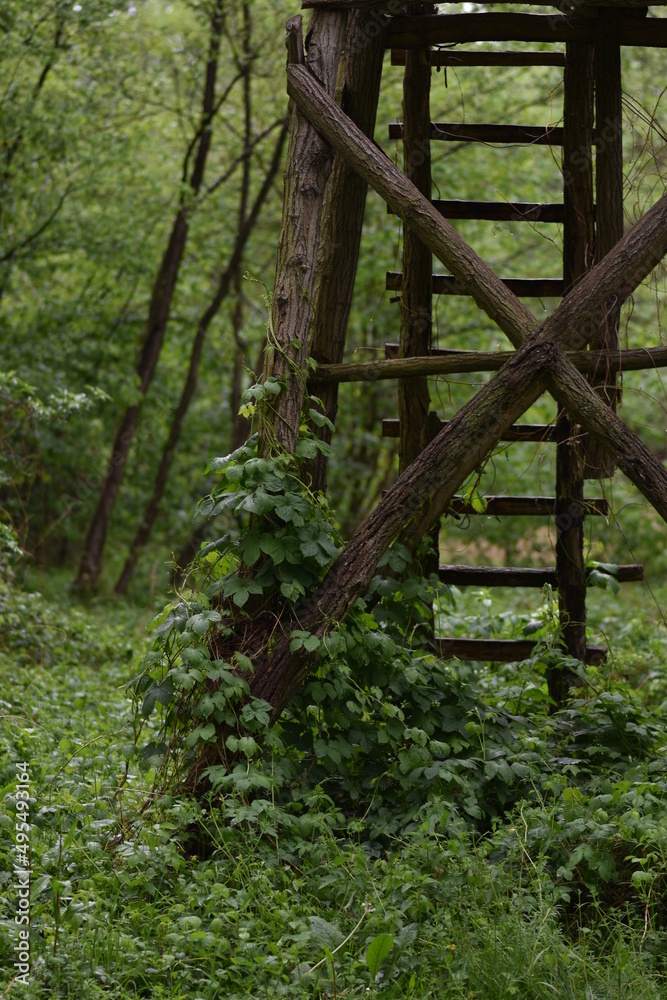 High seat tower for hunters in green forest with details. Single highseat in forest. Wooden hunter turret or lookout tower High seat tower for hunters in green forest with details. Single highseat in forest. Wooden hunter turret or lookout tower