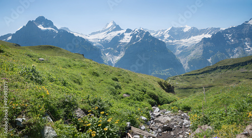 mountain brook Milibach, Grindelwald First, summer landscape Bernese Oberland swiss alps