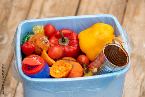 Uneaten rotten fruits and vegetables in the trash bin. Food Loss and Food Waste. Reducing Wasted Food At Home photo