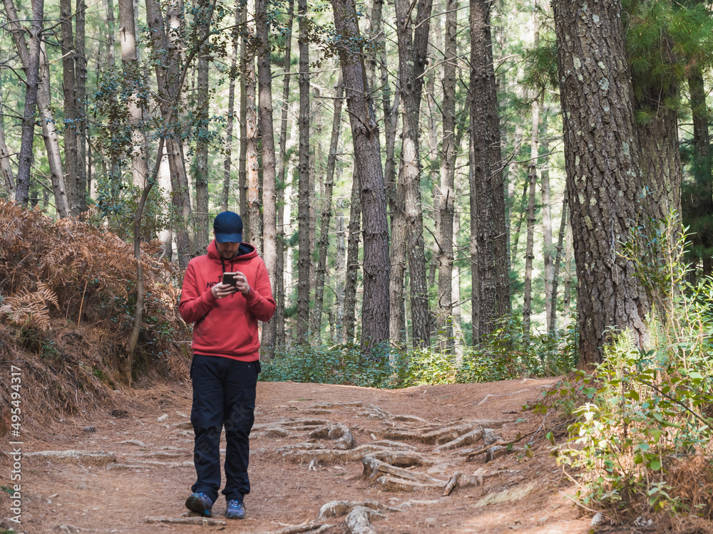 Man in cap and sweatshirt walking on forest path with smartphone. Man in cap and sweatshirt walking on forest path with smartphone.