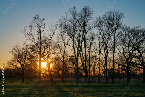 Sunset behind the bare trees of a meadow landscape in March.