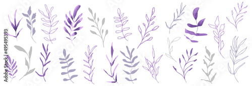 Hand drawn colorful plant set modern and universally usable. Flower branch and minimalistic plants. Hand drawn lines, elegant leaves for your own design. Botanical, chic and trendy plants.