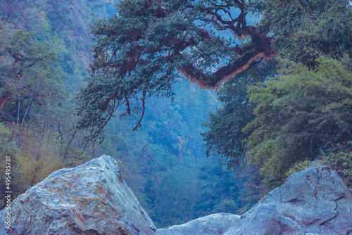 Mountain landscape Himalayas. rivers and jungle Nepal. mountain meditation 