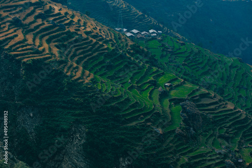 beautiful relief of Langtang mountains Nepal, rice cultivation 