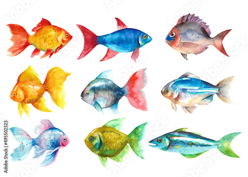 Watercolor fish set. Hand draw fish illustration isolated on white background