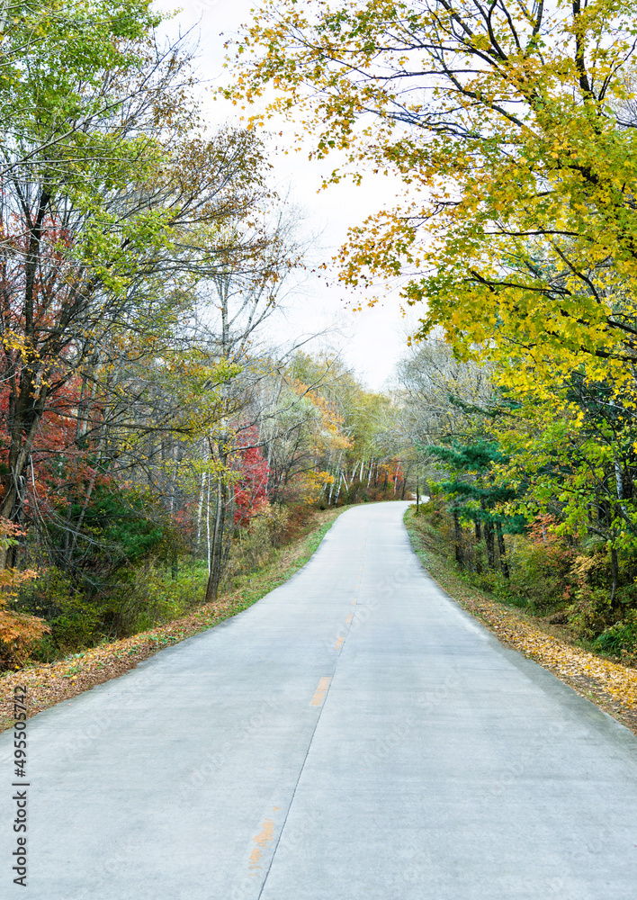 Scenic road through autumn trees