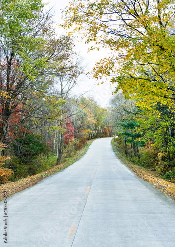 Scenic road through autumn trees