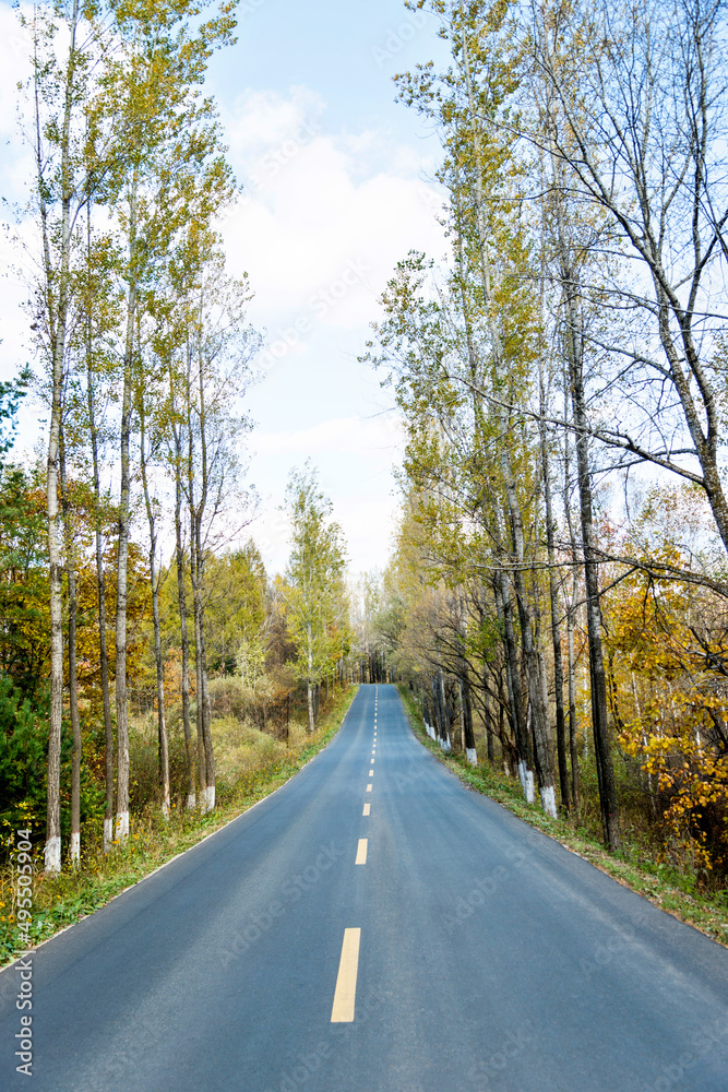 Fototapeta premium Scenic road through autumn trees