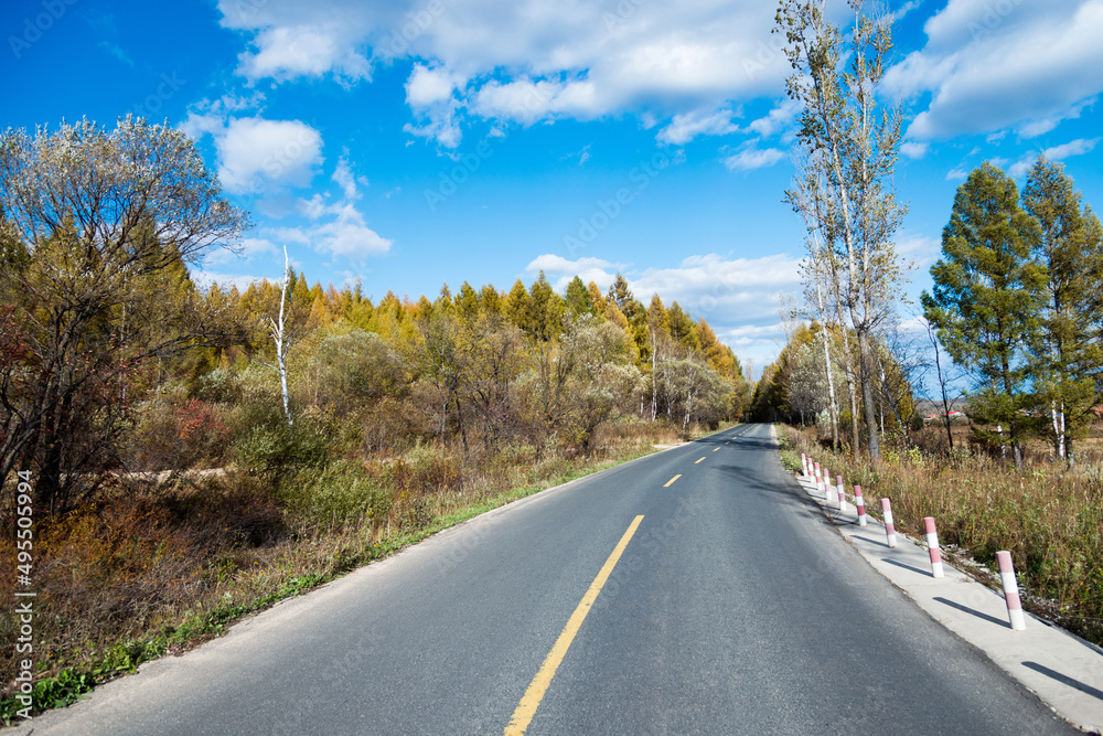 Fototapeta premium Scenic road through autumn trees