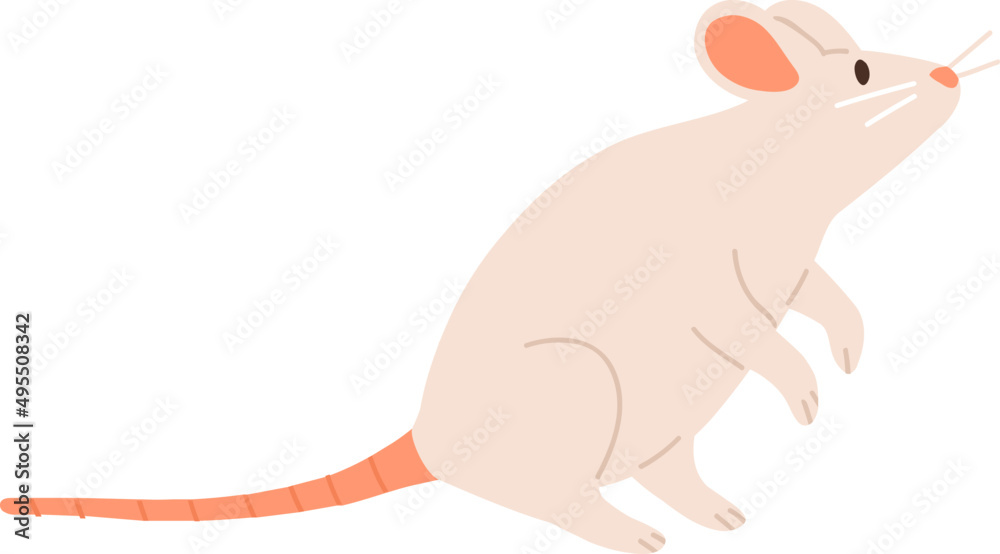 Cute Mouse or Rat Childish Cartoon Illustration