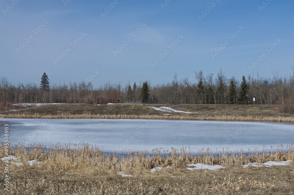 Pylypow Wetlands in Early Spring