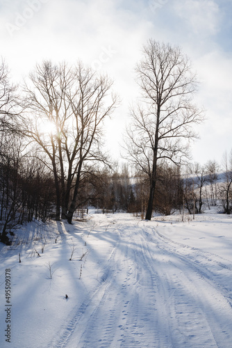 Forest nature winter the sun shines through the clouds, sunlight, shadows from the trees fall on the snow. cold weather, spring has come.