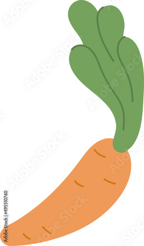 Carrot Cartoon Illustration