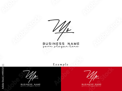 Modern MS Logo, Letter Ms sm Signature Fashion Letter Logo Image Design