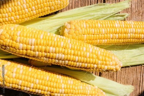 Corn in sunlight