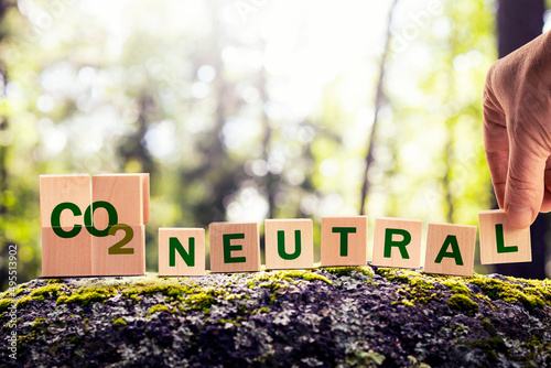 CO2 carbon neutral emission stamp and stamping hand. cubes in the forest on natural stone. climate change, green fuel and earth protect concept.