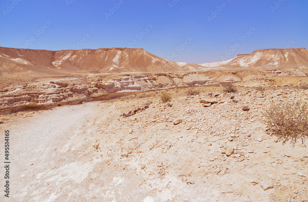 Naklejka premium beautiful desert landscape with canyon