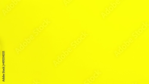 Wallpaper Mural 4k Brown kiwi fruit is divided into slices. Kiwi slices line up. Yellow background. copy space. Copy Space. Concept of proper nutrition and healthy fruits. Stop motion animation. Torontodigital.ca