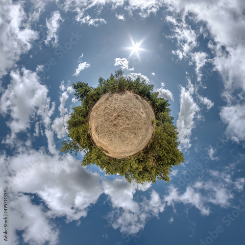 Fototapeta Naklejka Na Ścianę i Meble -  tiny planet in pinery forest in blue sky with beautiful clouds. Transformation of spherical panorama 360 degrees. Spherical abstract aerial view. Curvature of space.