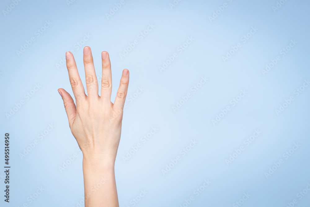 Female hand shows number five. Woman hand showing five fingers, pointing fingers up on light blue background Female hand shows number five. Woman hand showing five fingers, pointing fingers up on light blue background