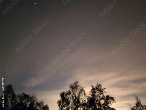 Blue-pink starry sky with clouds. The dark blue night sky, on which the stars shine, in the sky there are small light cumulus clouds. Stars of different sizes and brightness. Tree branches are visible