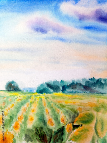 Field with lot of blossom sunflowers and sun shine cloudy day. Hand drawn watercolors on paper textures. Raster