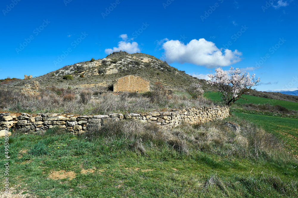 rural environment with overgrown fields and abandoned and dilapidated rural houses