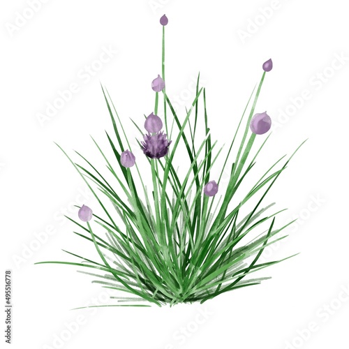 Watercolor purple meadow flowers. bouquet isolated on a white background