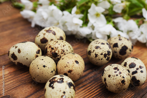 quail eggs close-up on a wooden table against the background of a flowering branch.
