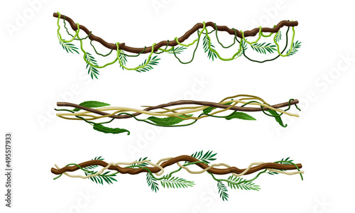 Green climbing branches set. Tropical climbing plants, hanging creepers twigs vector illustration