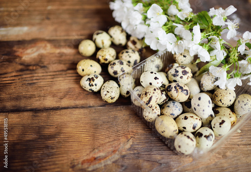 quail eggs close-up on a wooden table against the background of a flowering branch.