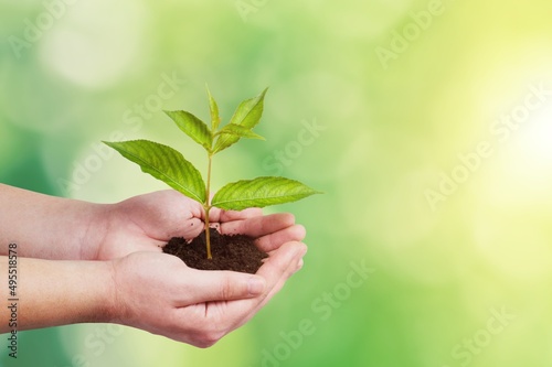 Plant in hands, successful responsible promoting green economy concept. Bio agriculture development concept.