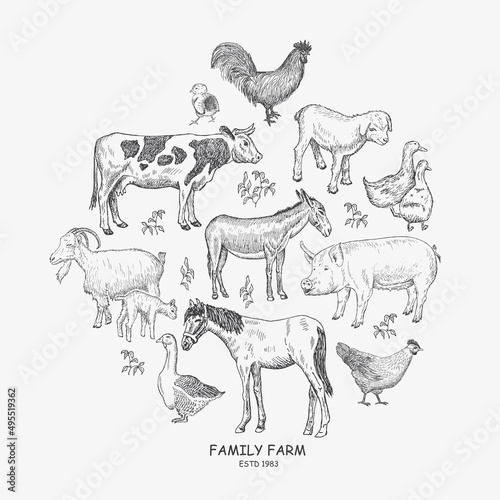 Composition in the circle with Farm Animals and birds.