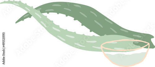 Aloe Cartoon Illustration