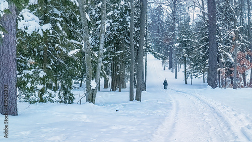 Fototapeta Naklejka Na Ścianę i Meble -  Snowshoeing in Interlochen State Park, northern Michigan, Winter.
