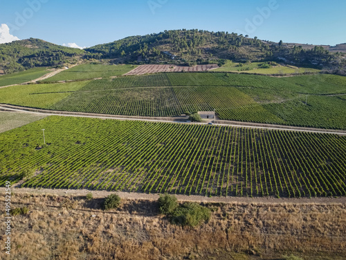 Aerial drone. Rows of Vineyards at Fortino di Mazzallakkar, Arab fort in Sambuca di Sicilia, Sicily, on Lago Arancio. This area is well known for the production of grapes and white and red wine.