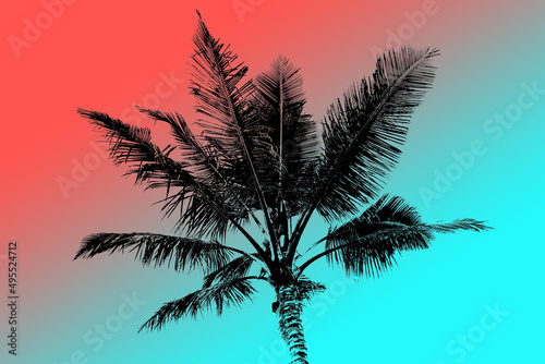 palm tree silhouette, Maui Palm, Island Vibes, Tropical Vibes, Hawaii VIbes, Summer Vibes, Maui, Oahu, Kauai, Big Island, Pacific © Devin Swycinsky