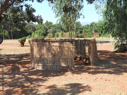 Safari, Malawi, Mulanje Mountain, Nature, Wildlife photo