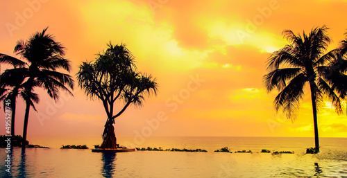 tropical orange-pink sunset and palm trees against the sky. Reflection in the clouds in the water  a landscape on a tropical island.