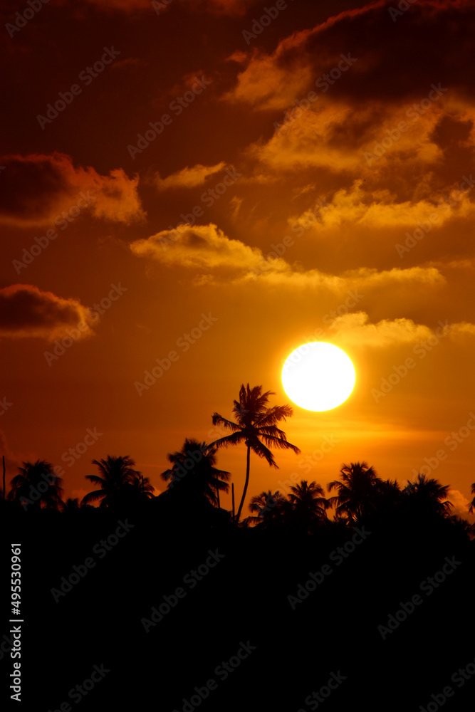 Obraz premium sunset in the desert