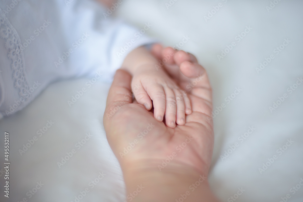 mom holds the hand of a newborn baby in her hand, mom's care and love mom holds the hand of a newborn baby in her hand, mom's care and love