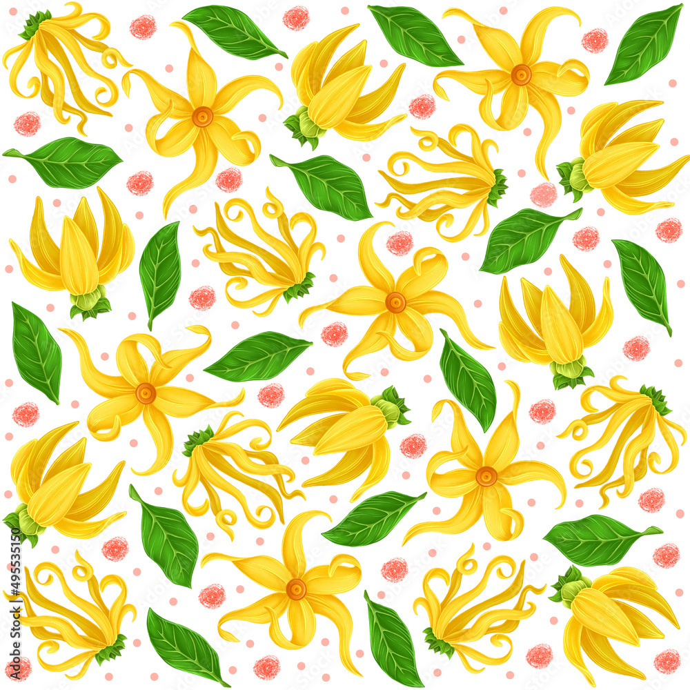 Illustration of ylang-ylang yellow flowers tropical sweet fragrance of trees summer climate blooming flowers pattern for textiles background Illustration of ylang-ylang yellow flowers tropical sweet fragrance of trees summer climate blooming flowers pattern for textiles background