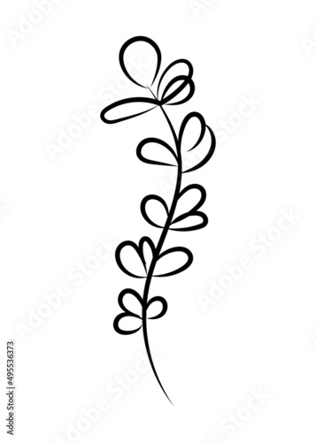 Vector linear simple botanical poster. Abstract art lines  wall paintings  flowers  leaves  plants. Modern design  doodle shapes  cover template  printing of T-shirts  postcards  banners and more.