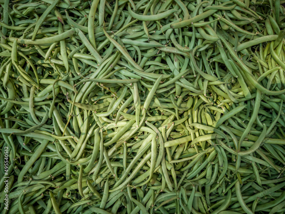 zucchini or squash to prepare food for sale in the market zucchini or squash to prepare food for sale in the market