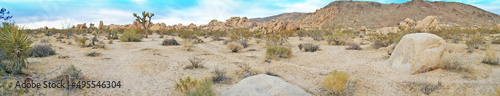 High Desert Panoramic Image of Terrain - Joshua Tree National Park - Panoramic image of desert landscape of rocks, cactus, shrubs and mountains.